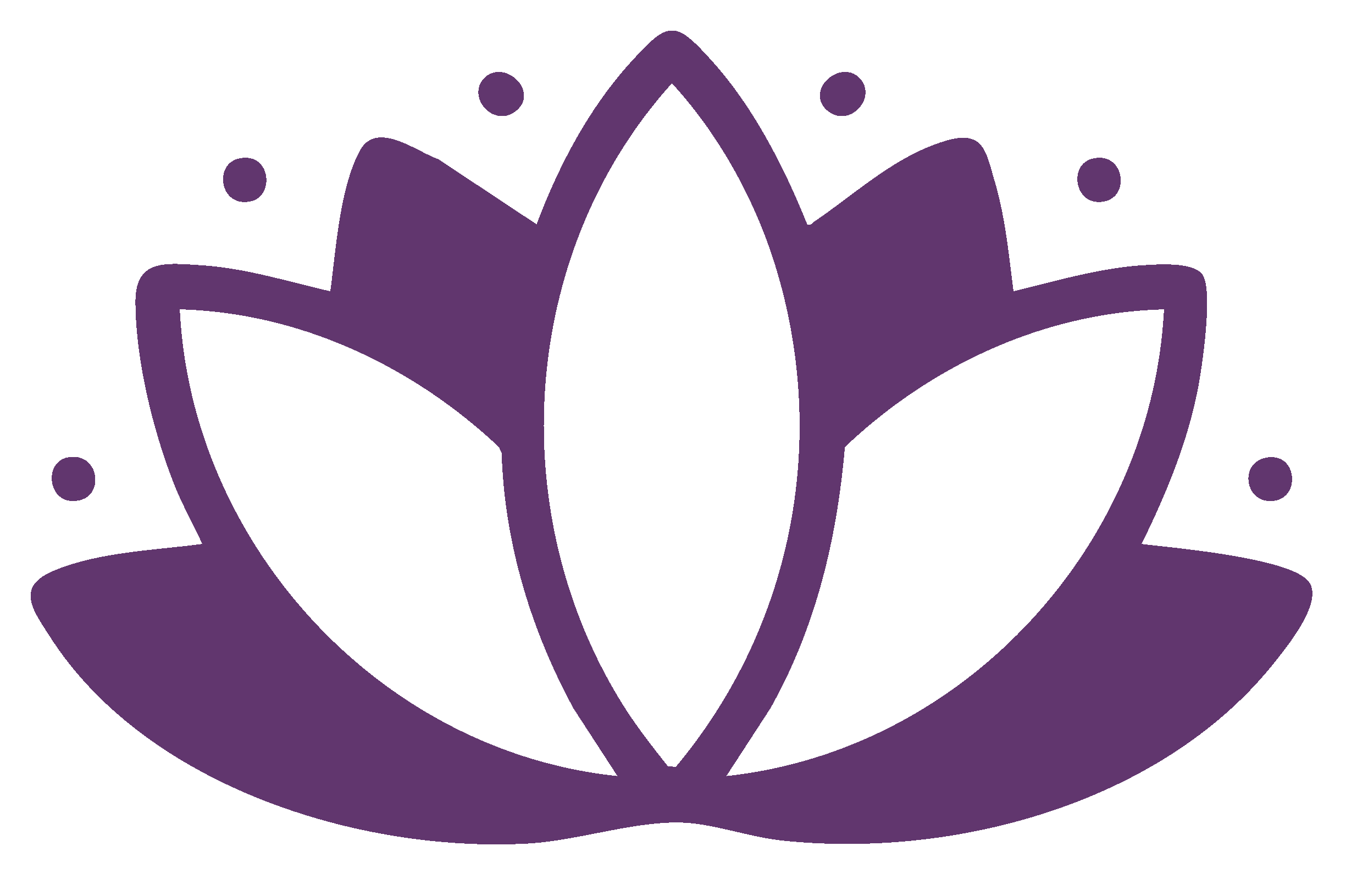 Nunc dapibus egestas elit. Praesent tincidunt egestas metus, sed pulvinar purus dapibus laoreet