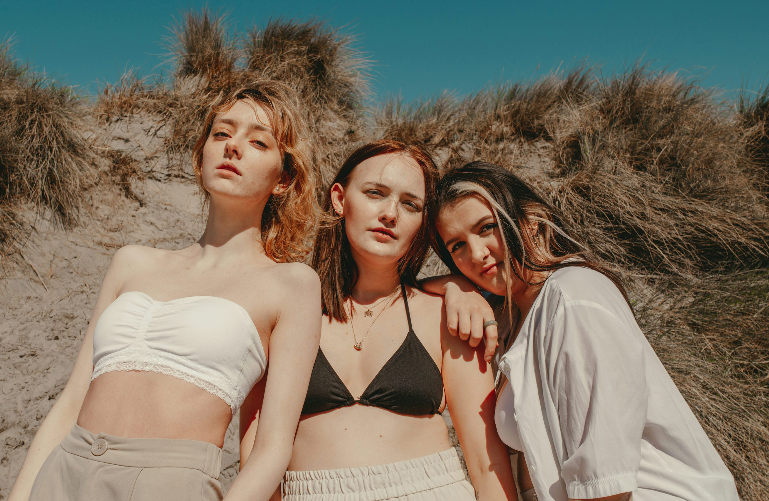 Nunc dapibus egestas elit. Praesent tincidunt egestas metus, sed pulvinar purus dapibus laoreet